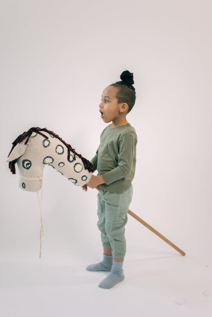 hobby horse
