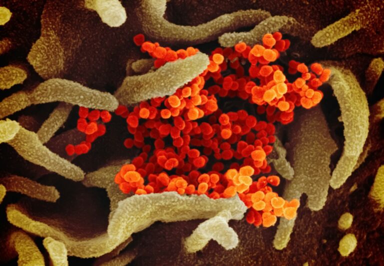 Postbiotyki – przyszłość zdrowia jelit i odporności a close up of a red and yellow substance