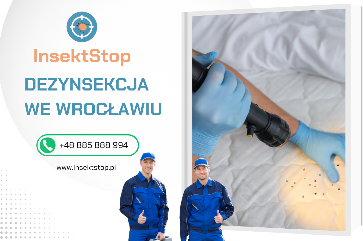 dezynsekcja pluskiew we Wrocławiu